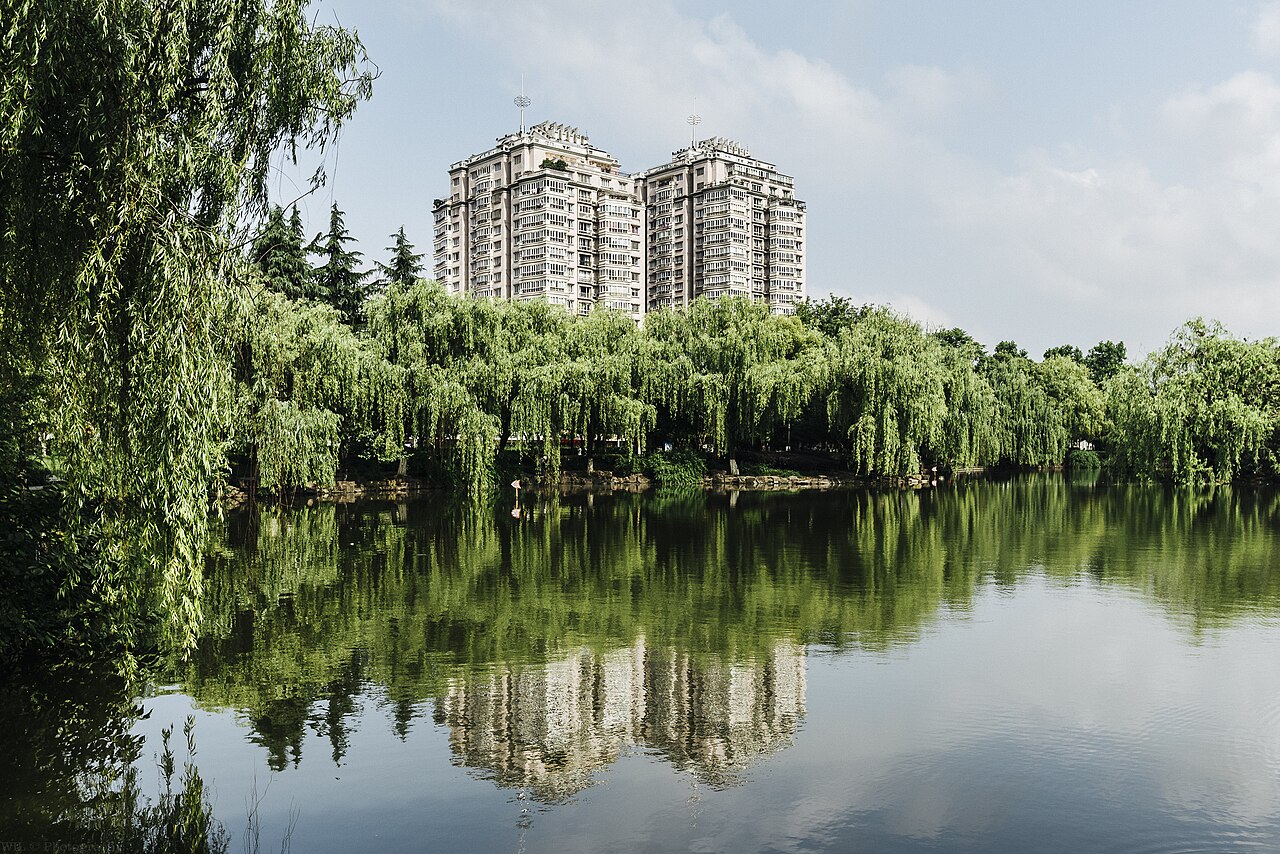 绣湖公园 参考图 1